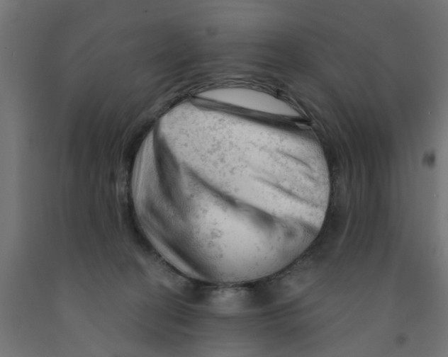 X0000090890274200708242008