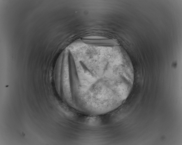 X0000090890275200708242008