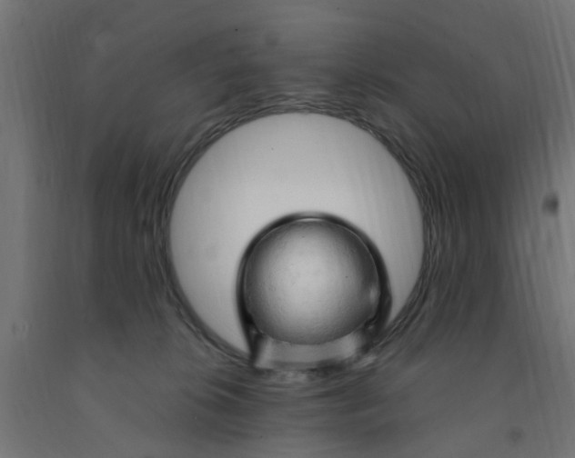 X0000090890276200708242008