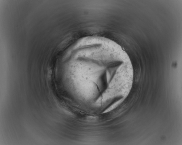 X0000090890279200708242008