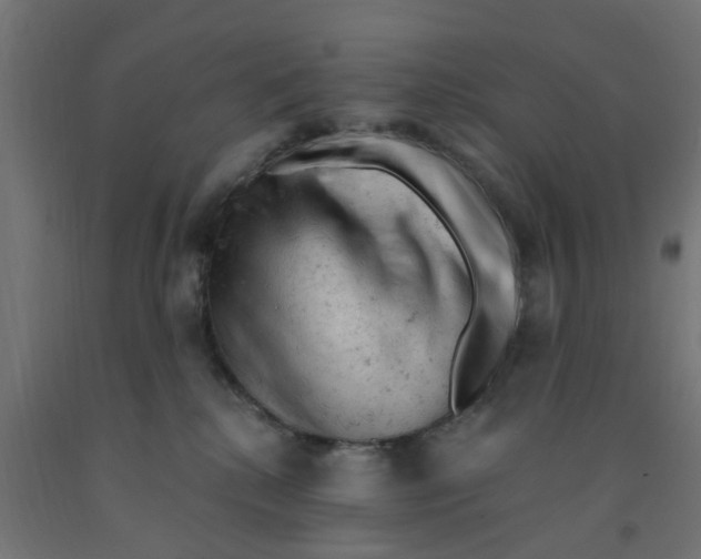 X0000090890280200708242008