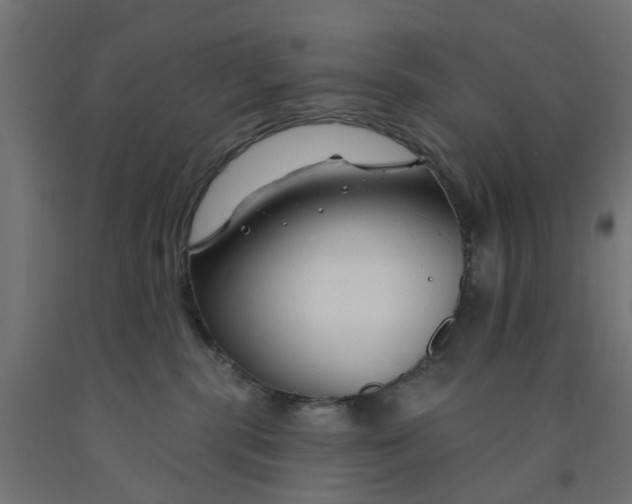 X0000090890283200708242008