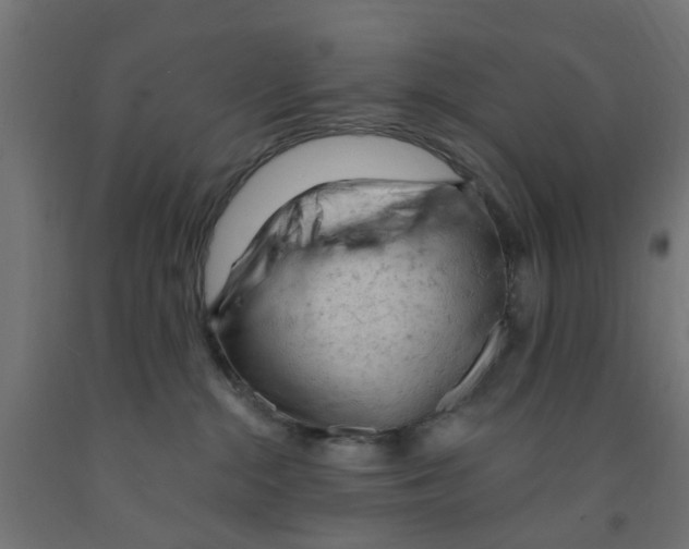 X0000090890284200708242008