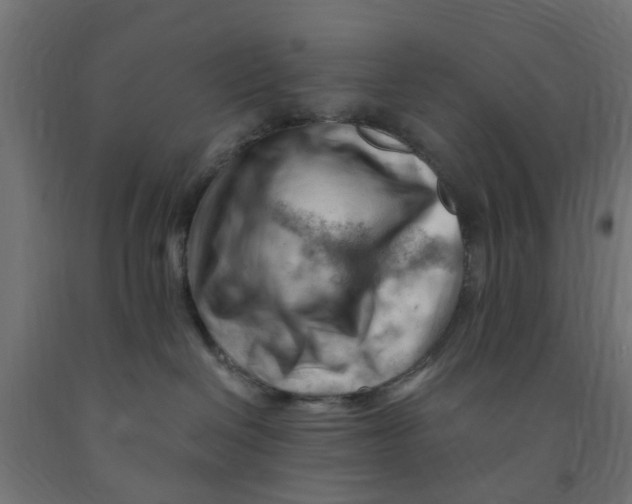 X0000090890286200708242008