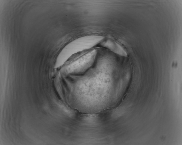 X0000090890288200708242008