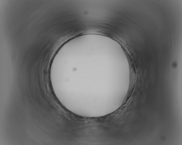 X0000090890289200708242008