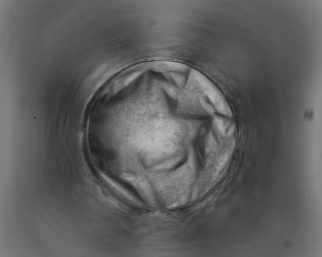 X0000090890290200708242008