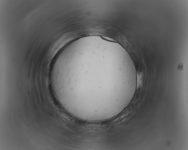 X0000090890291200708242008