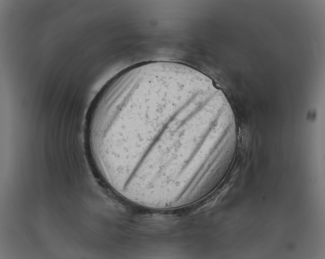 X0000090890292200708242008