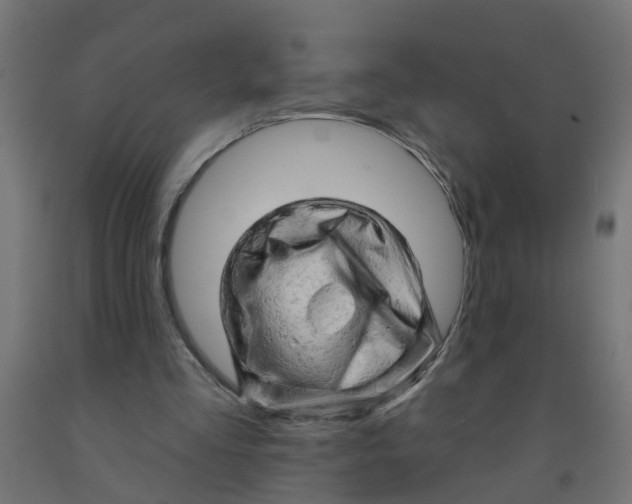 X0000090890293200708242008