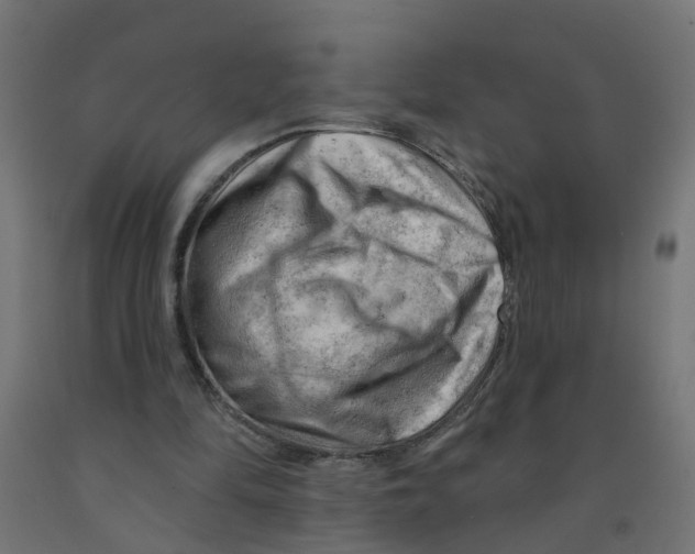 X0000090890294200708242008