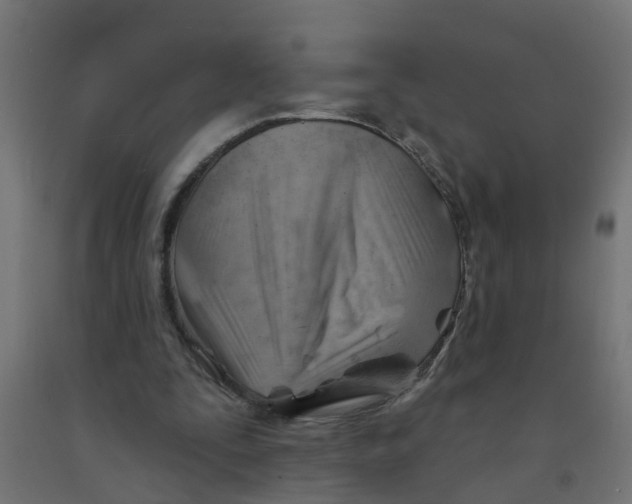 X0000090890295200708242007