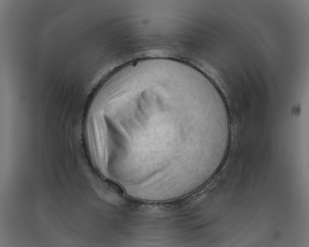 X0000090890297200708242007