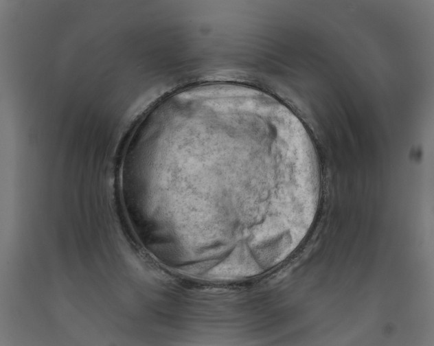 X0000090890298200708242007