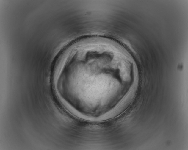 X0000090890299200708242007