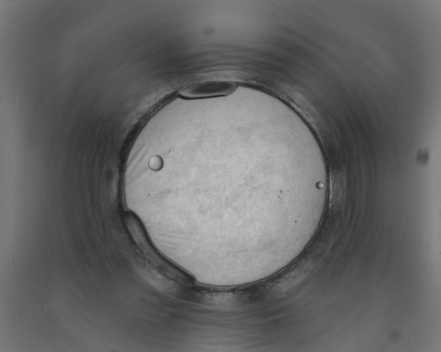 X0000090890301200708242007