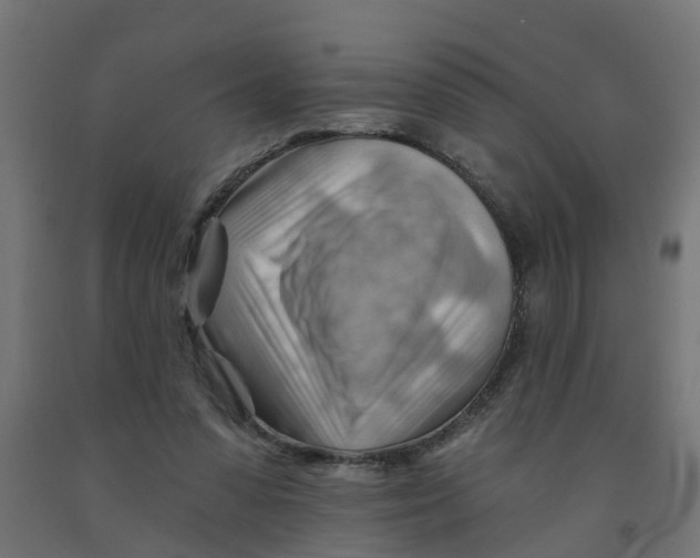 X0000090890303200708242007