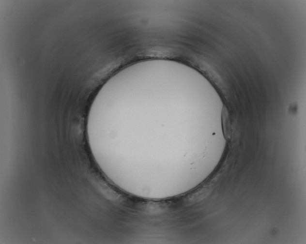 X0000090890305200708242007