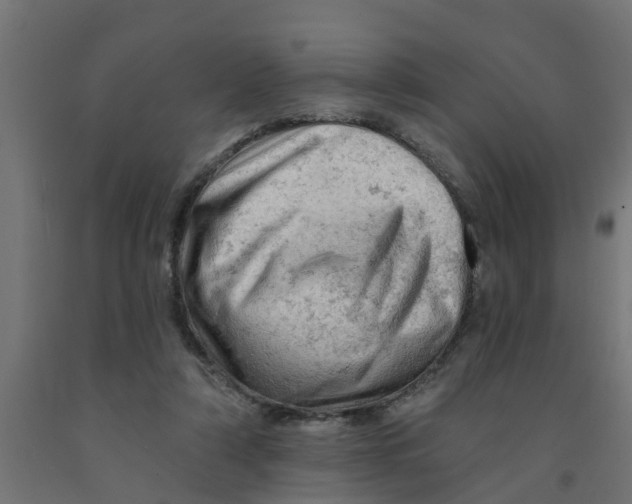 X0000090890306200708242007