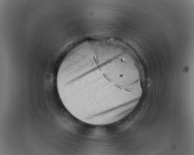 X0000090890308200708242007