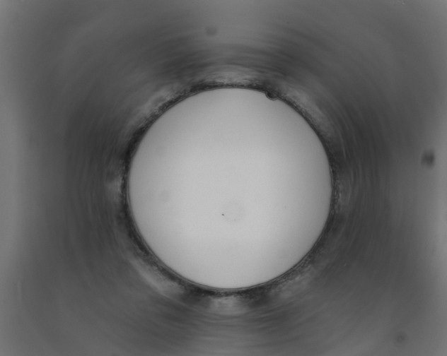 X0000090890309200708242007