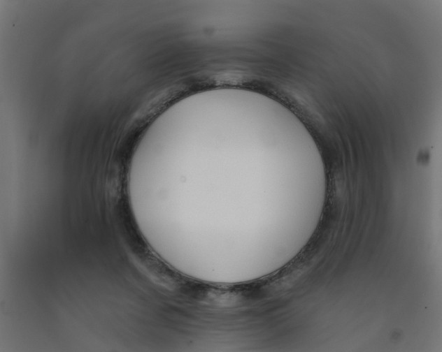 X0000090890311200708242007