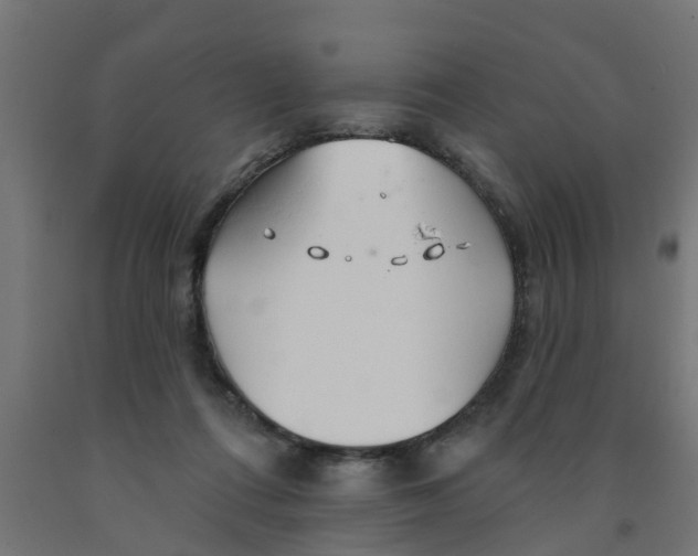 X0000090890312200708242007