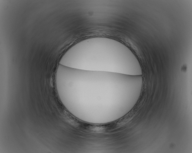 X0000090890313200708242007