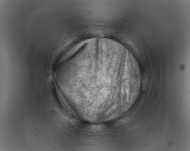 X0000090890314200708242007