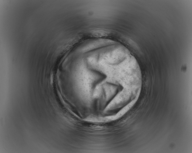 X0000090890315200708242007