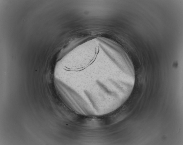 X0000090890316200708242007