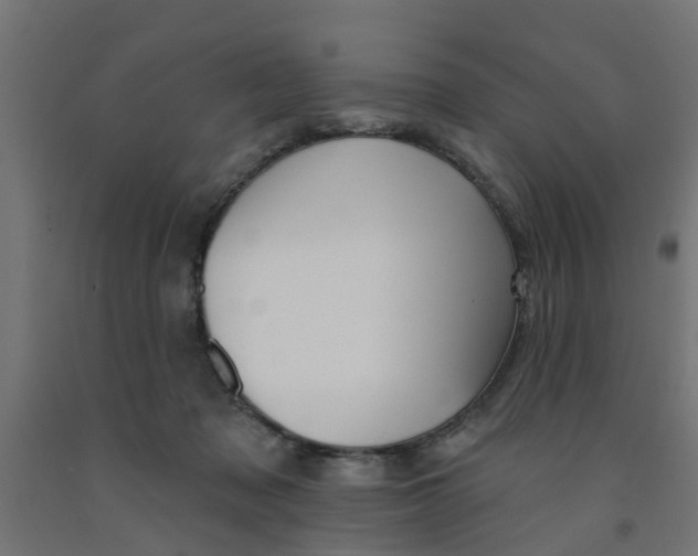 X0000090890317200708242007