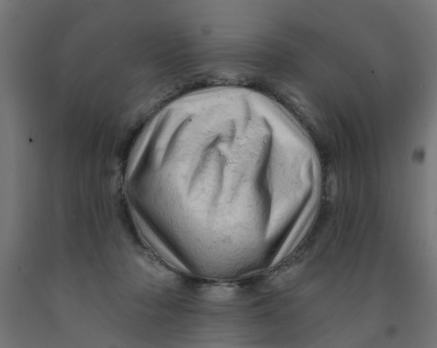 X0000090890318200708242007