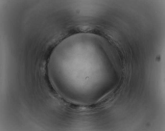 X0000090890319200708242007