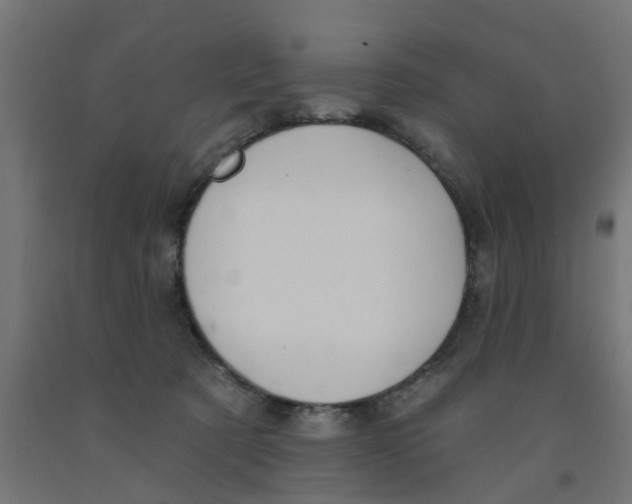 X0000090890321200708242007