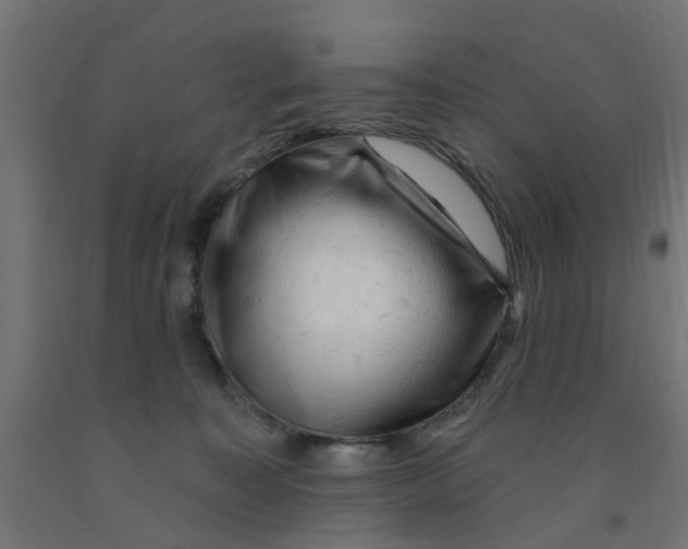 X0000090890323200708242007