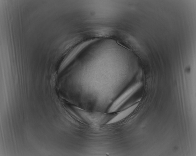 X0000090890325200708242007