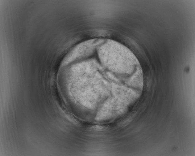 X0000090890326200708242007