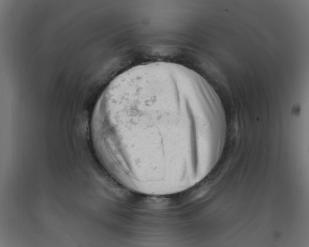 X0000090890328200708242007