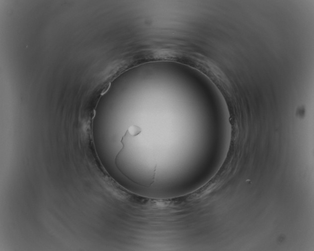 X0000090890329200708242007