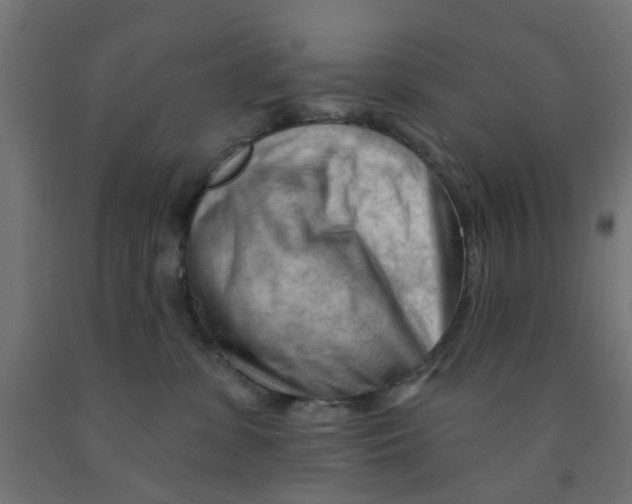 X0000090890331200708242007