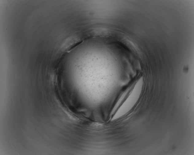 X0000090890333200708242007