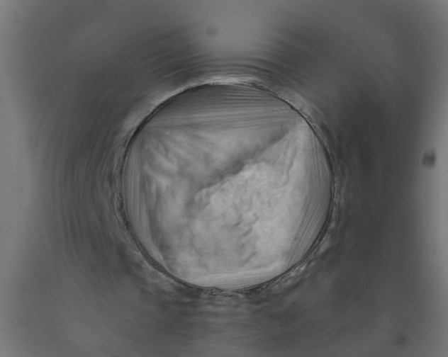 X0000090890337200708242006