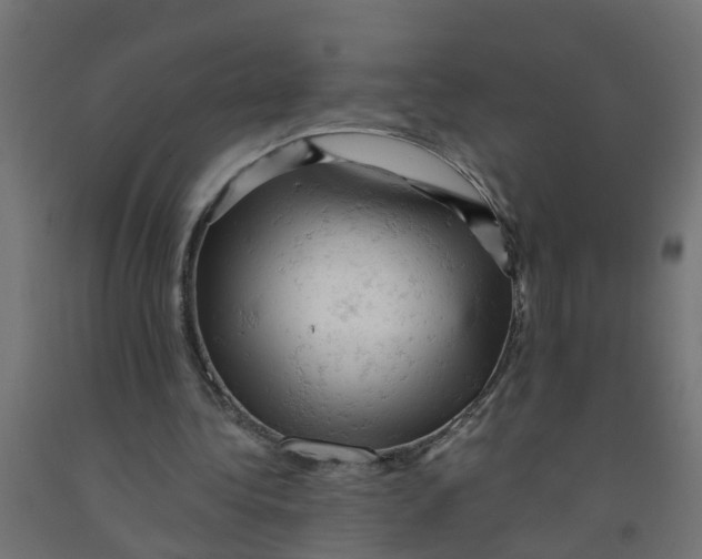 X0000090890340200708242006