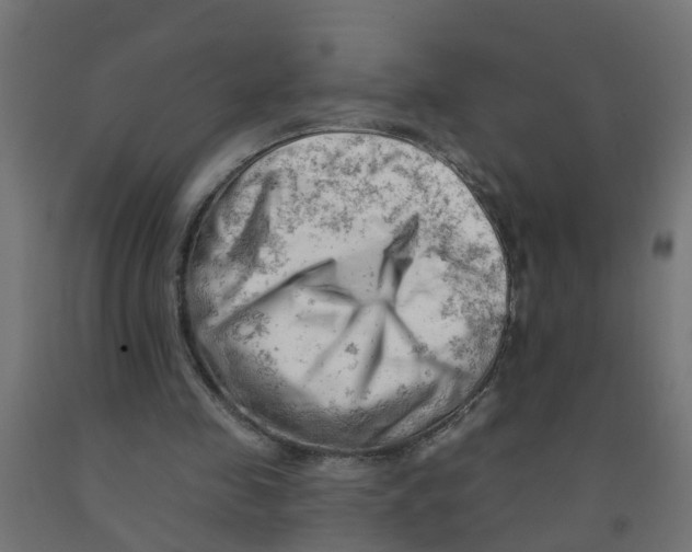 X0000090890341200708242006