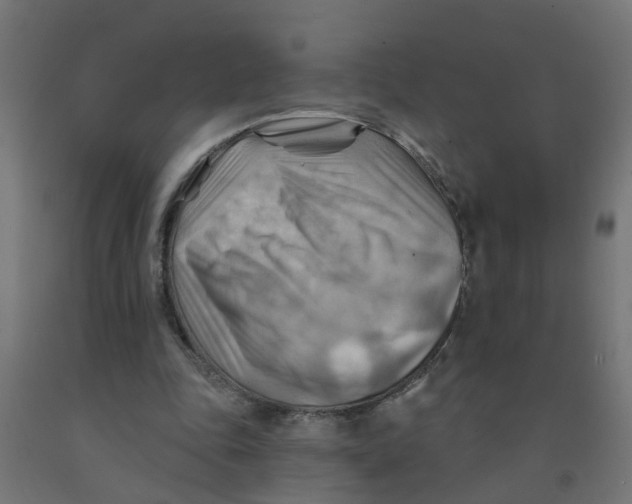 X0000090890343200708242006