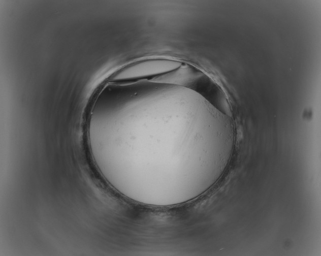 X0000090890344200708242006