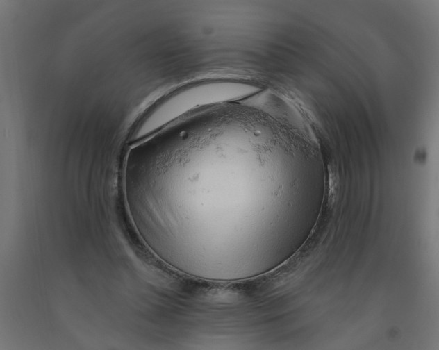 X0000090890348200708242006