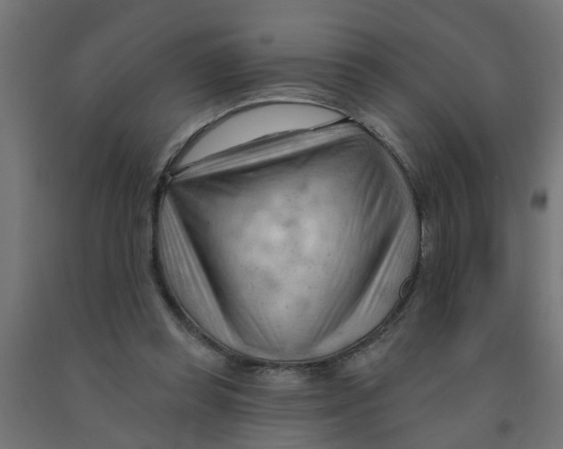 X0000090890349200708242006