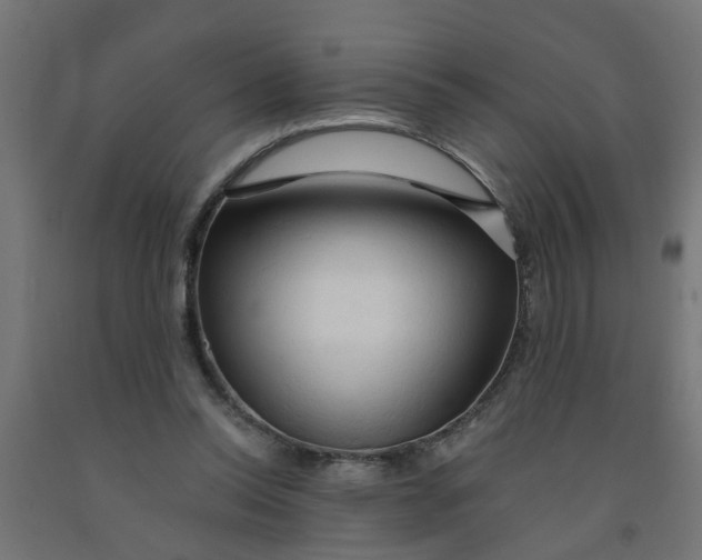 X0000090890350200708242006